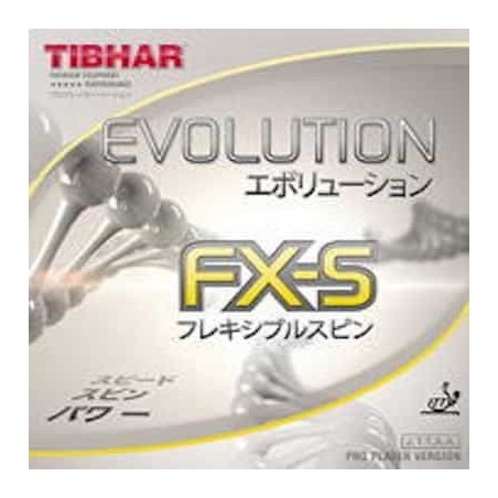 EVOLUTION FX-S