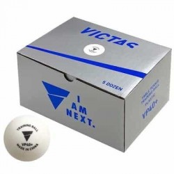VP 40+ TRAINING BALL (60 BALLS)